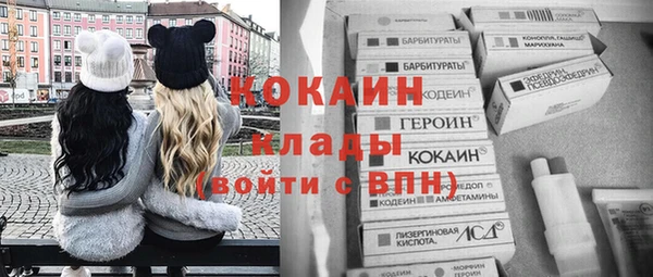2c-b Надым