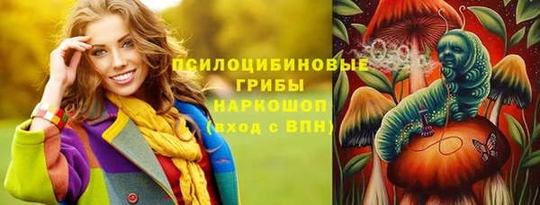 мяу мяу мука Арсеньев