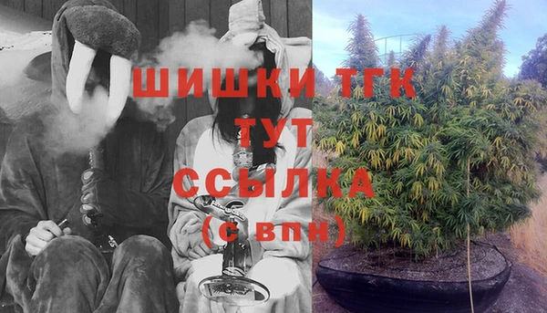 2c-b Надым