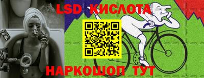 spice Кандалакша