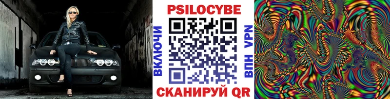 купить закладку  Зима  Псилоцибиновые грибы ЛСД 