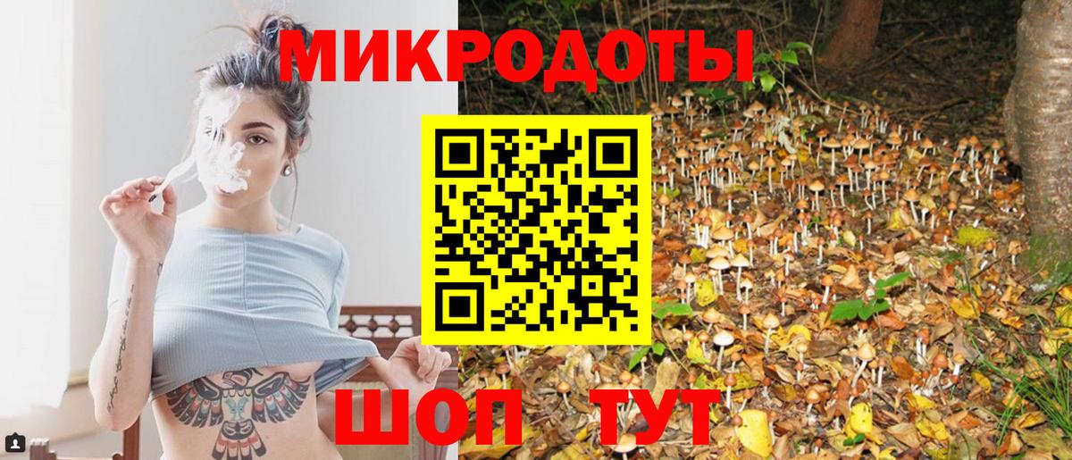 Галлюциногенные грибы прущие грибы Зима