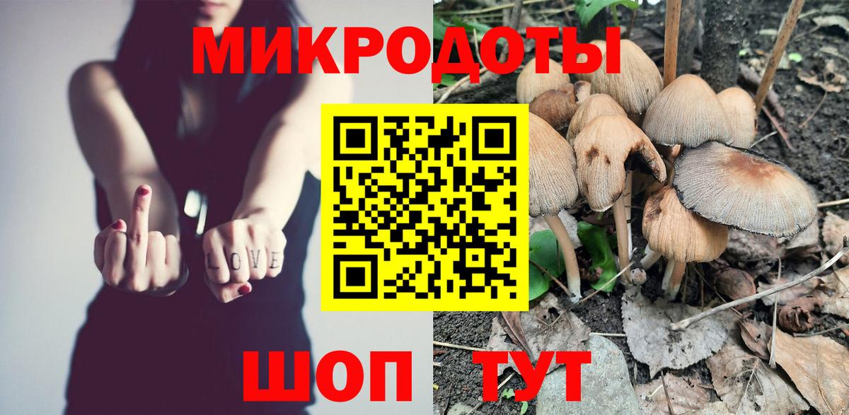 Галлюциногенные грибы GOLDEN TEACHER  Вход с VPN  Зима  Галлюциногенные грибы MAGIC MUSHROOMS 