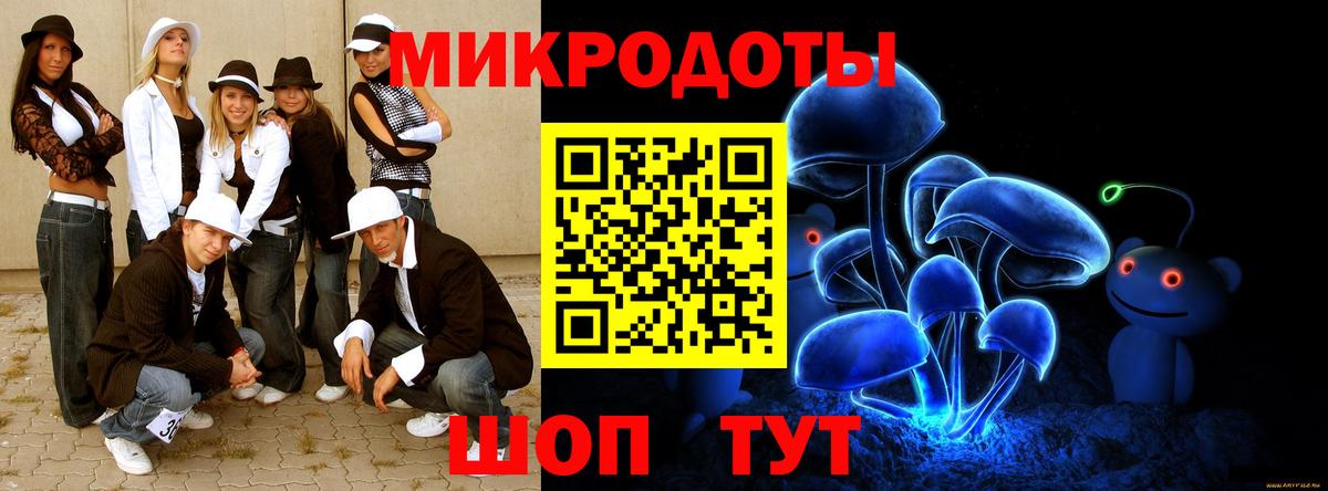 купить наркоту  Зима  Галлюциногенные грибы GOLDEN TEACHER 