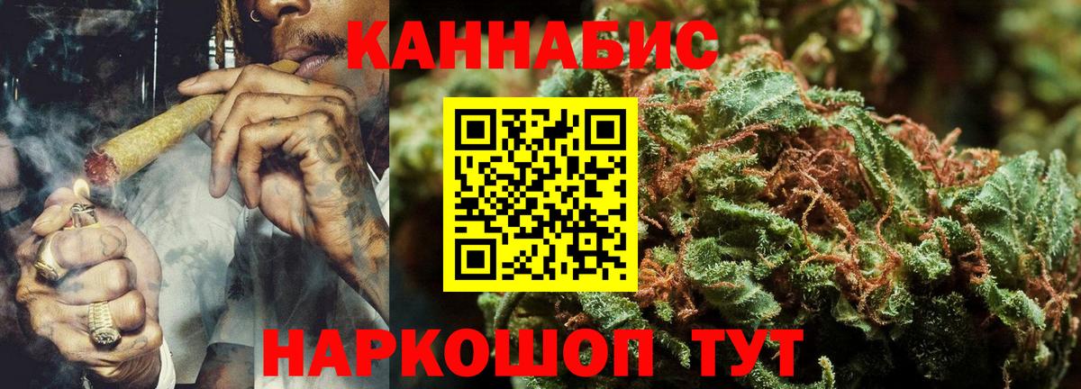 Конопля конопля  Каннабис конопля  Зима 